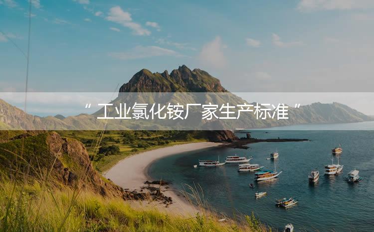 工業(yè)氯化銨廠家生產(chǎn)標(biāo)準(zhǔn)，生產(chǎn)過程進(jìn)行嚴(yán)密的監(jiān)控！